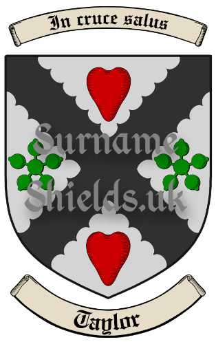 Taylor Scotland Surname Shield (Coat of Arms of Family Crest)