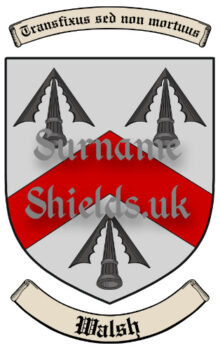 Walsh Irish Surname Shield (Coat of Arms of Family Crest)