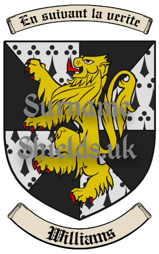 Williams England / British Surname Shield (Coat of Arms of Family Crest)