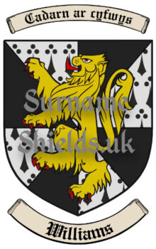 Williams Wales Surname Shield (Coat of Arms of Family Crest)